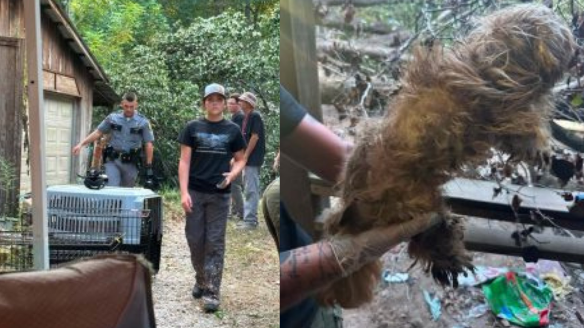 KSP: Kentucky woman charged after animals found in 'extreme heat' without food, water