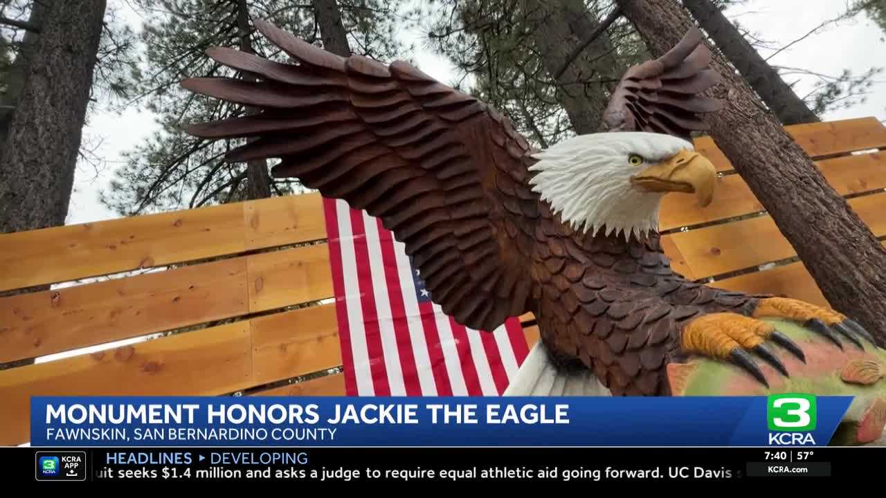 Life-sized monument honors Big Bear bald eagle Jackie