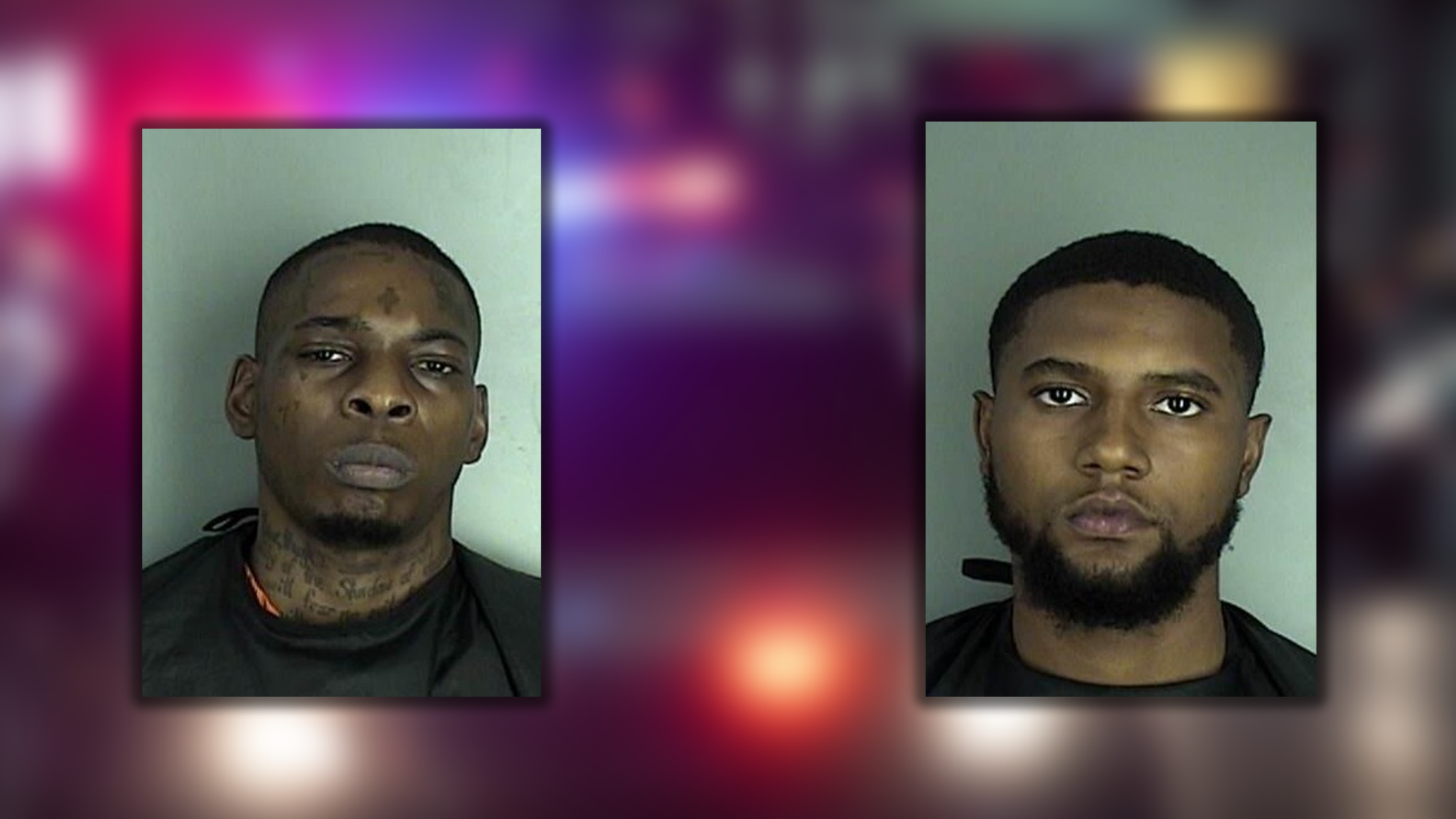 wyff4.com - Chloe McCoy - Deputies seize multiple pounds of drugs in bust