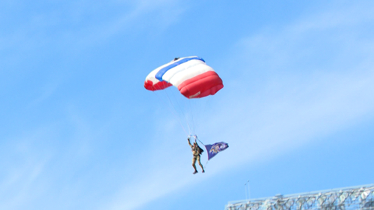Frog Climate Changes Ravens fans to enjoy Navy Leap Frogs, corgi races, and more - WBAL