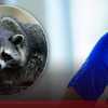 CDC issues alert about nationwide increase in rabies exposures