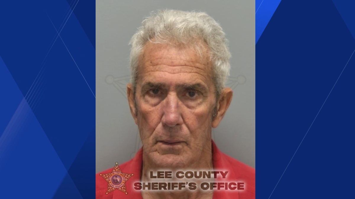 Cape Coral man accused of crashing into 3 cars while reversing, driving ...