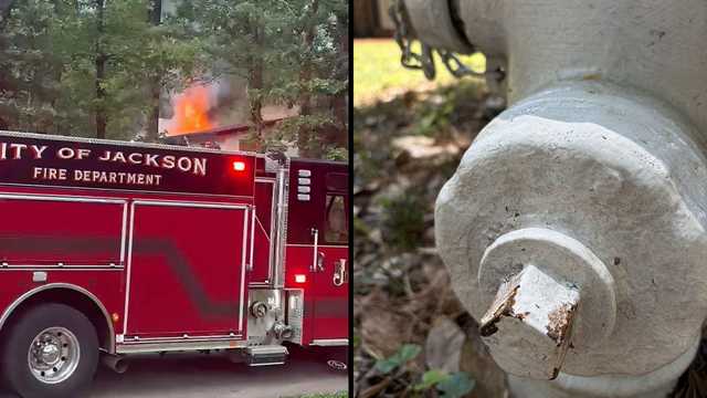 Painted fire hydrant complicates firefighting efforts in Jackson neighborhood