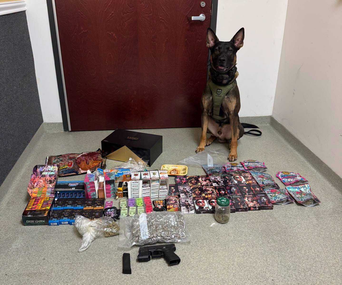 wpbf.com - Allen Cone - Good dog: K-9 alerts deputies to drug stash in Indian River County