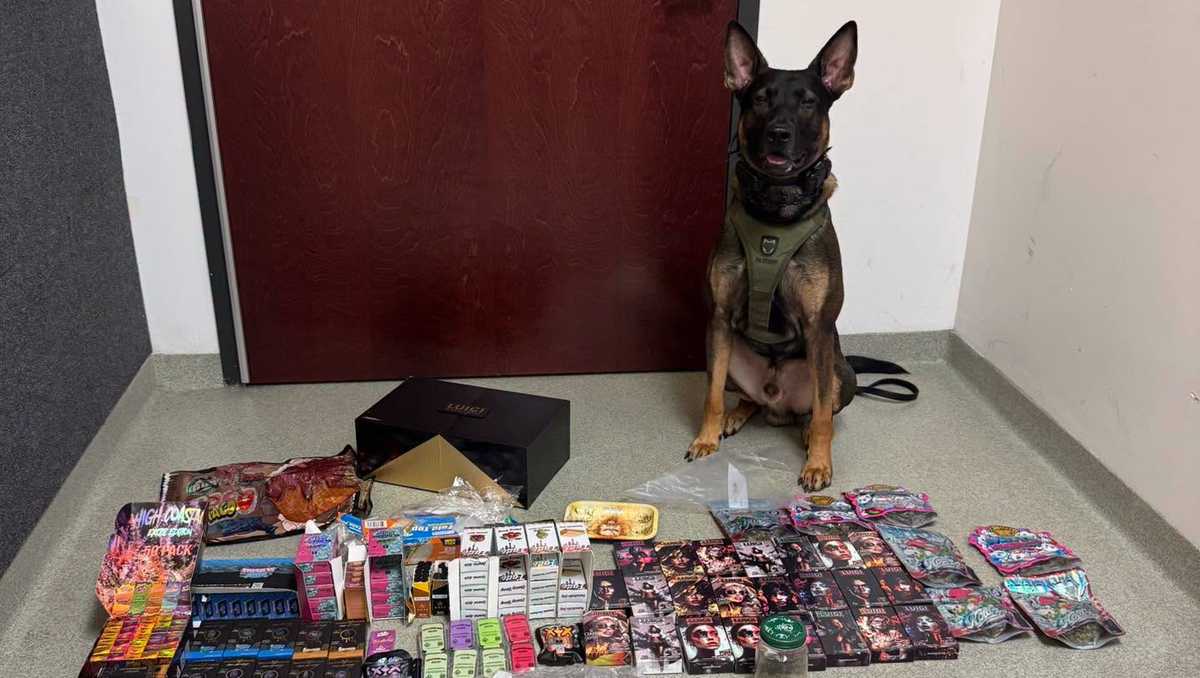 K-9 Tobi alerts deputies to heroin, marijuana in Indian River County traffic stop
