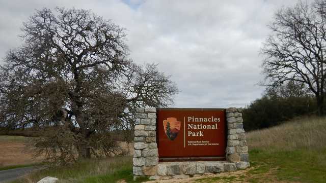 Popular Pinnacles National Park hike closed to protect baby bats