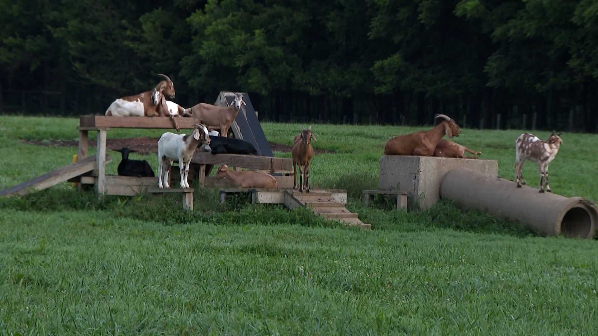Blackacre Conservancy expands, launches fundraiser to preserve Kentucky history