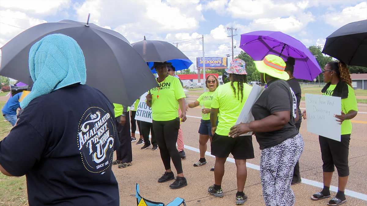 Jackson JTRAN riders fear fallout as councilman seeks to dump MV Transportation