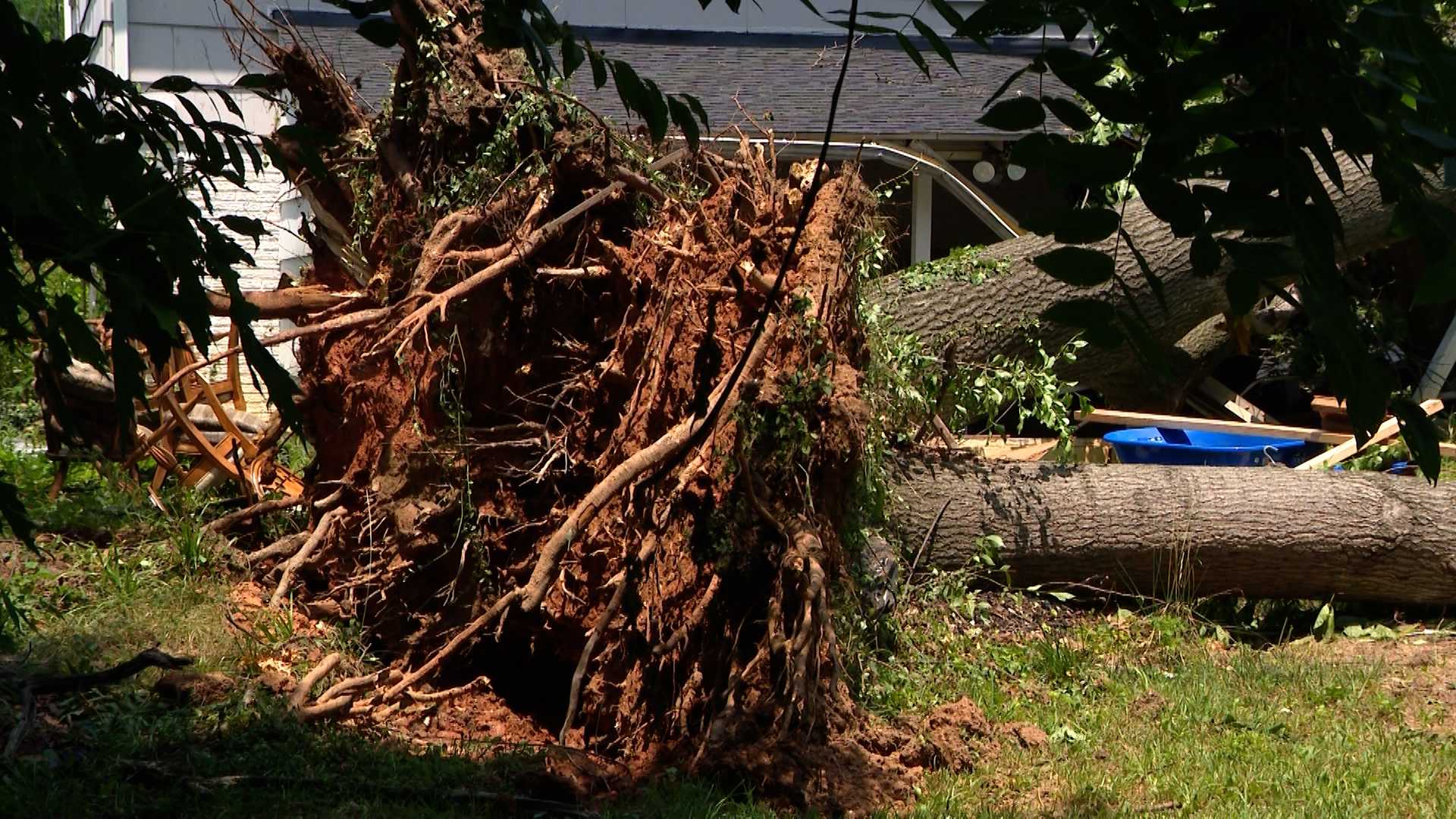 July Fourth storms leave downed trees across Maryland | Photos