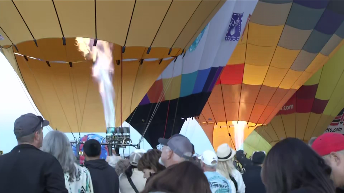 Balloons and a few special shapes take to the sky for the Special Shapes Rodeo