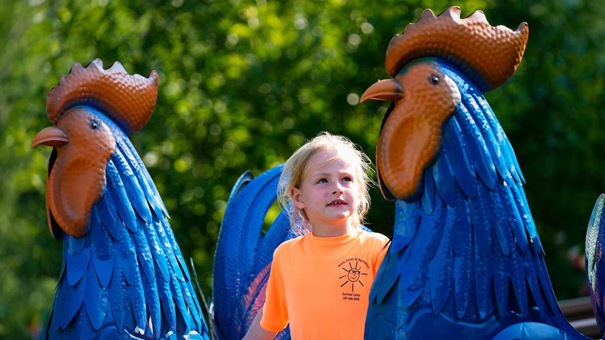 Giant metal roosters spread autism acceptance in Maine town after zoning spat