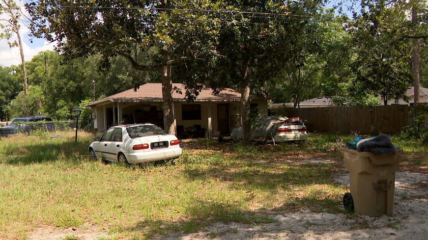 Malnourished pit bull found alive next to deceased dog in Lake County home, officials say