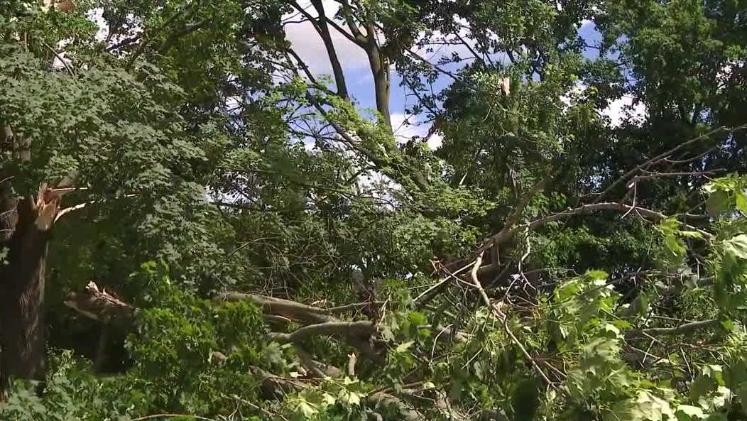 York County crews assess storm damage after severe weather