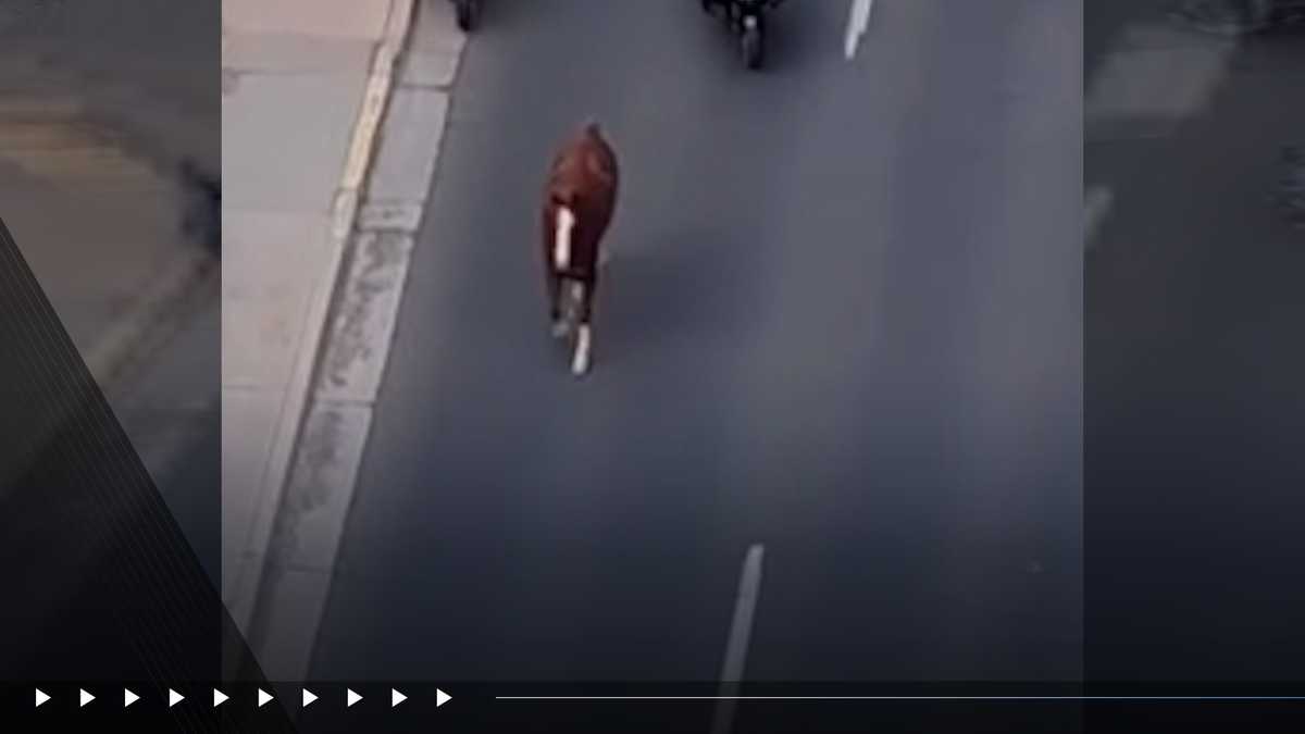 Santa Fe Police chase horse through the city