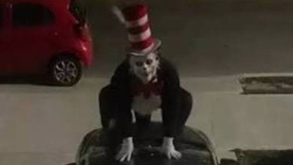 Kentucky minor facing charges after 'Cat in the Hat' trend circulates online