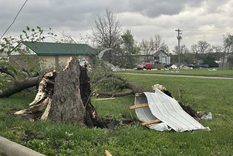 A tree trunk is split in Hillsdale, Kansas, after a tornado-warned storm on April 13, 2026.