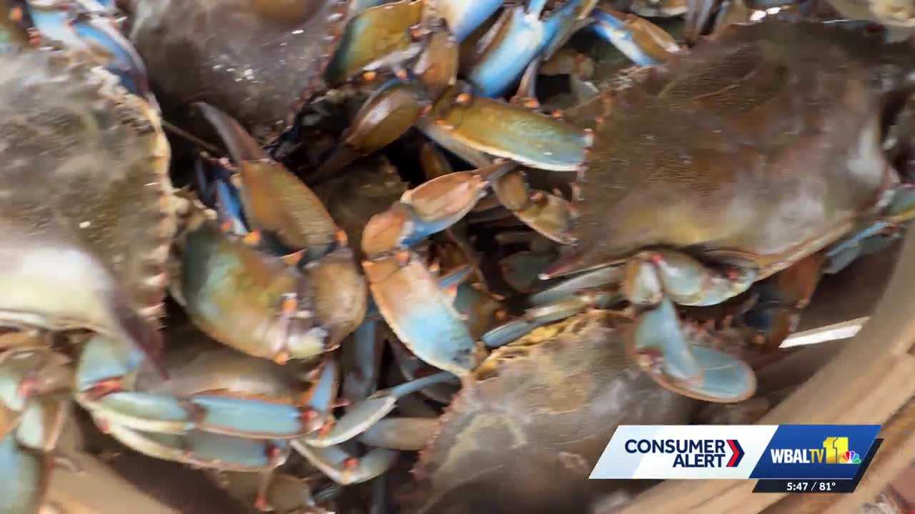 Crabs costs increase heading into summer, watermen explain why