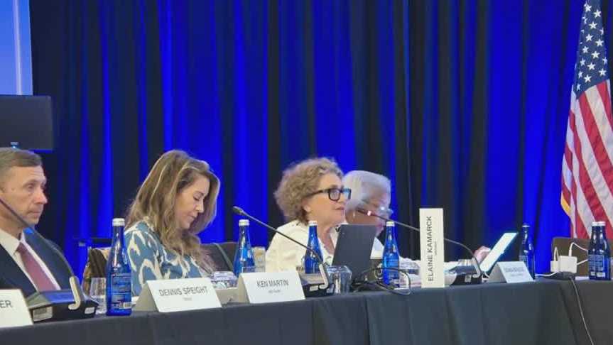DNC committee votes to move South Carolina ahead of New Hampshire on primary calendar