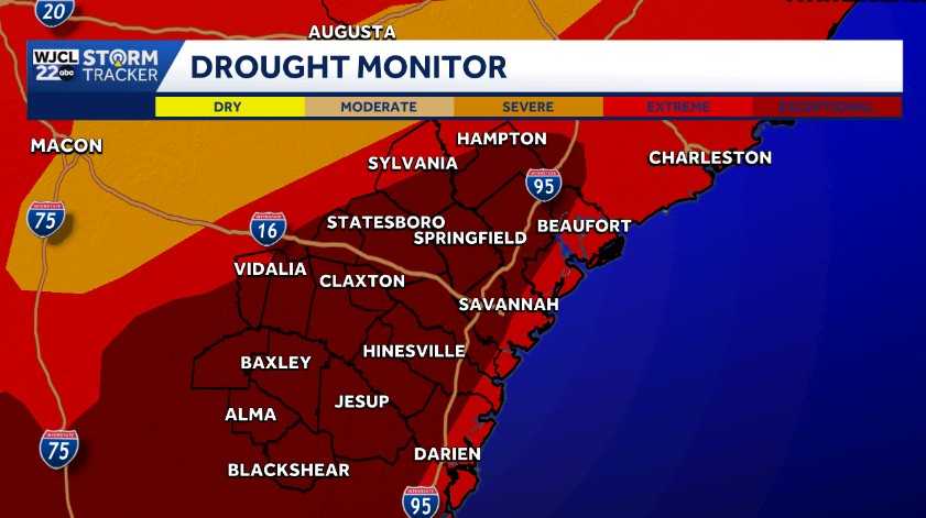 Rain likely on Saturday for Southeast Georgia and the Lowcountry - WJCL