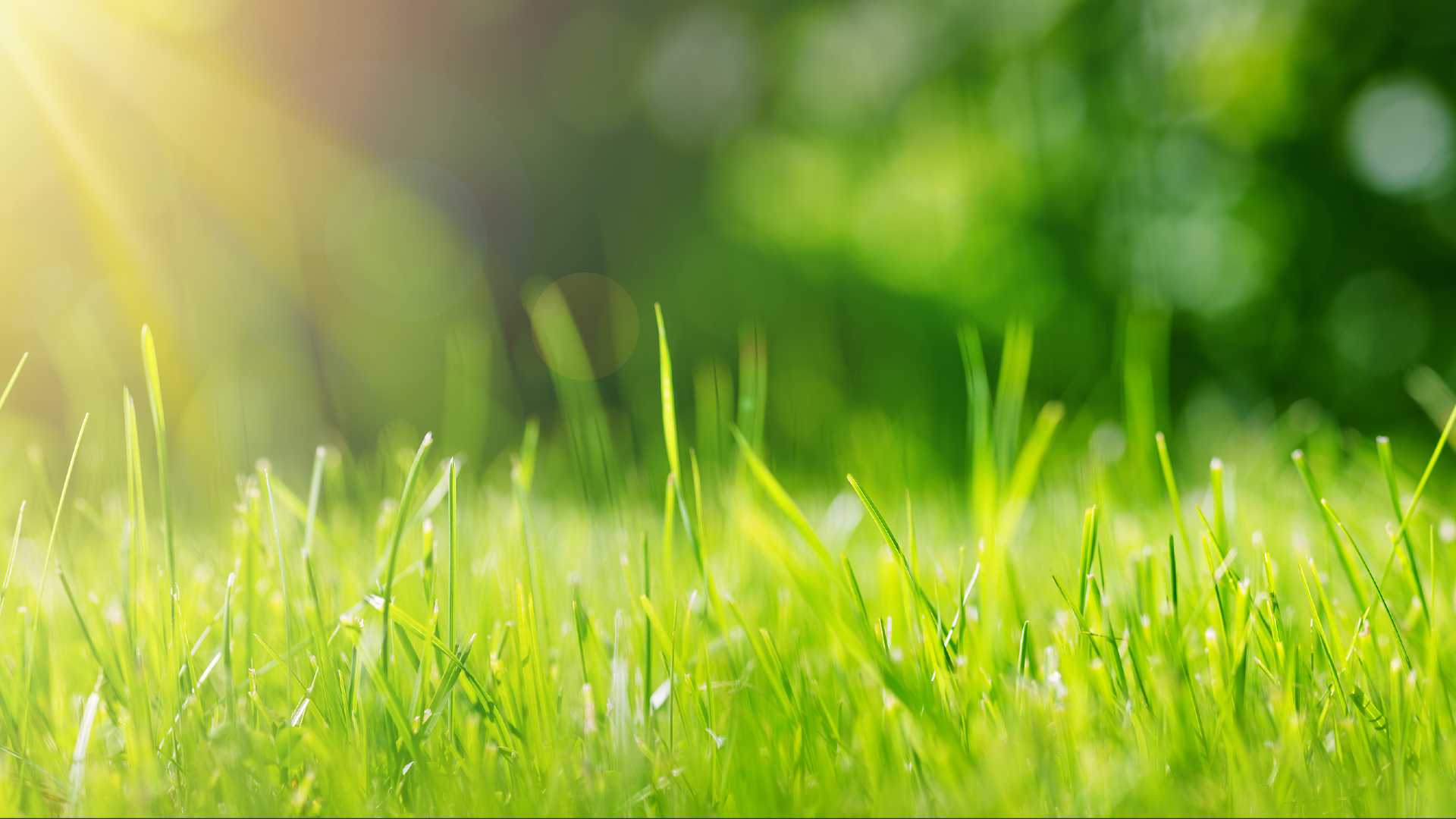 Man dies after lawn mower goes off cliff edge , coroner says