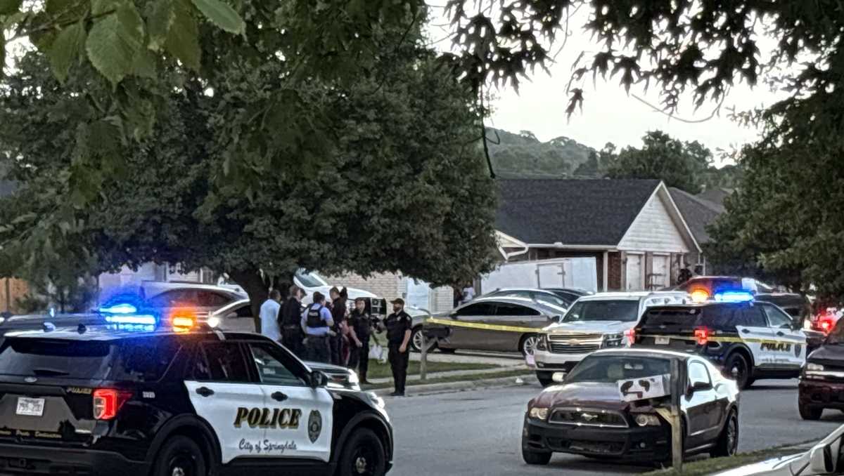 Police presence in Springdale neighborhood