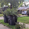 City of Greensboro: Crews offer storm debris collection after severe storms