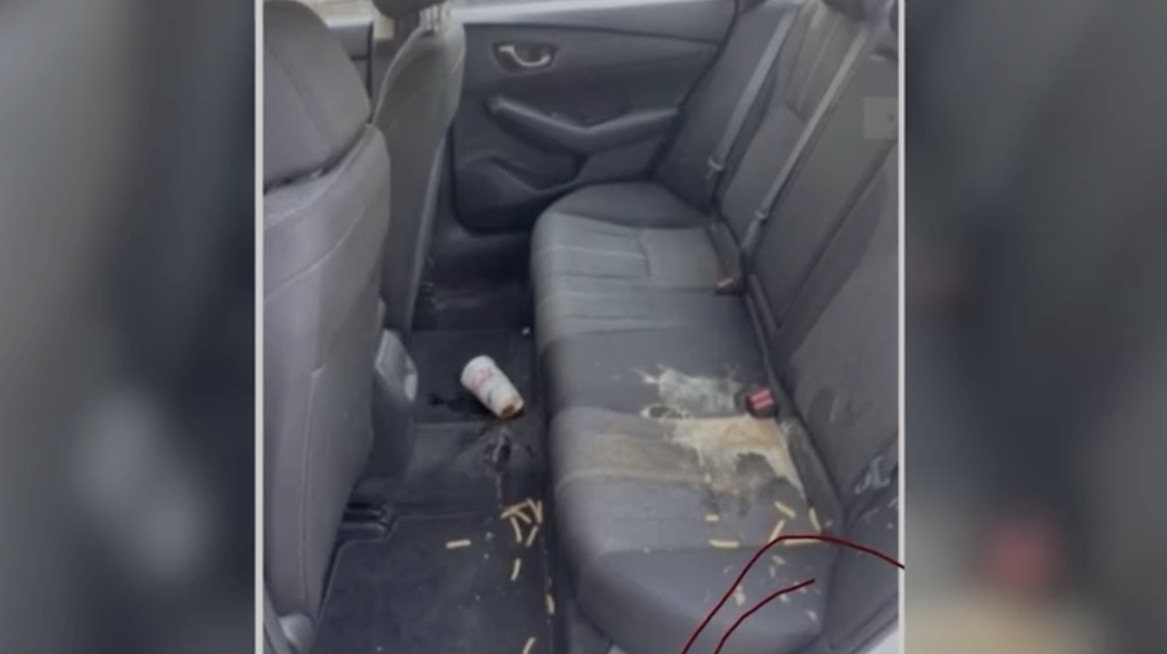 Lyft driver accused of using AI to fake damage, leading to $75 charge for the passenger
