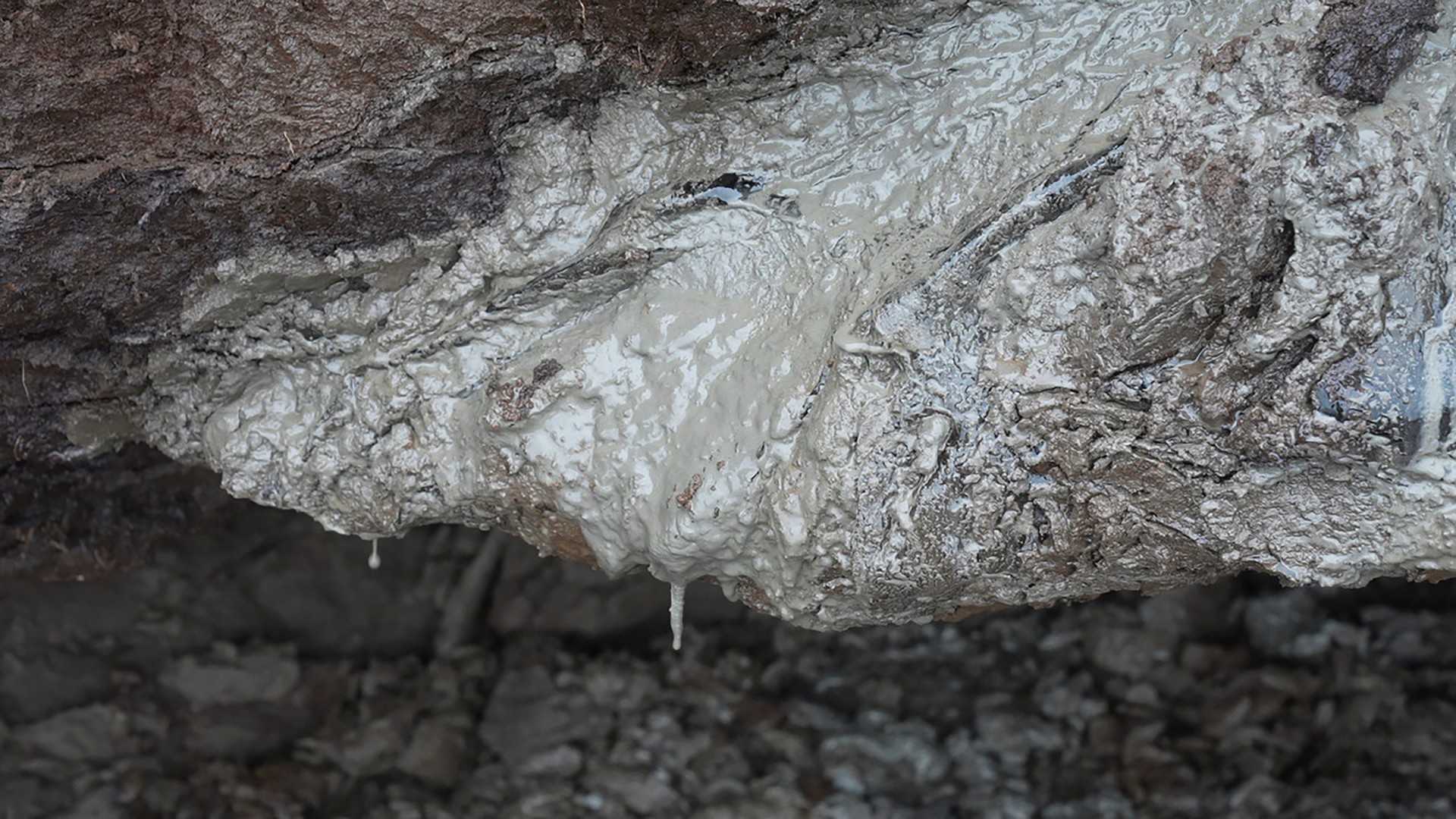 Heat-trapping gas once frozen in Arctic ground is slowly leaking, warming the planet