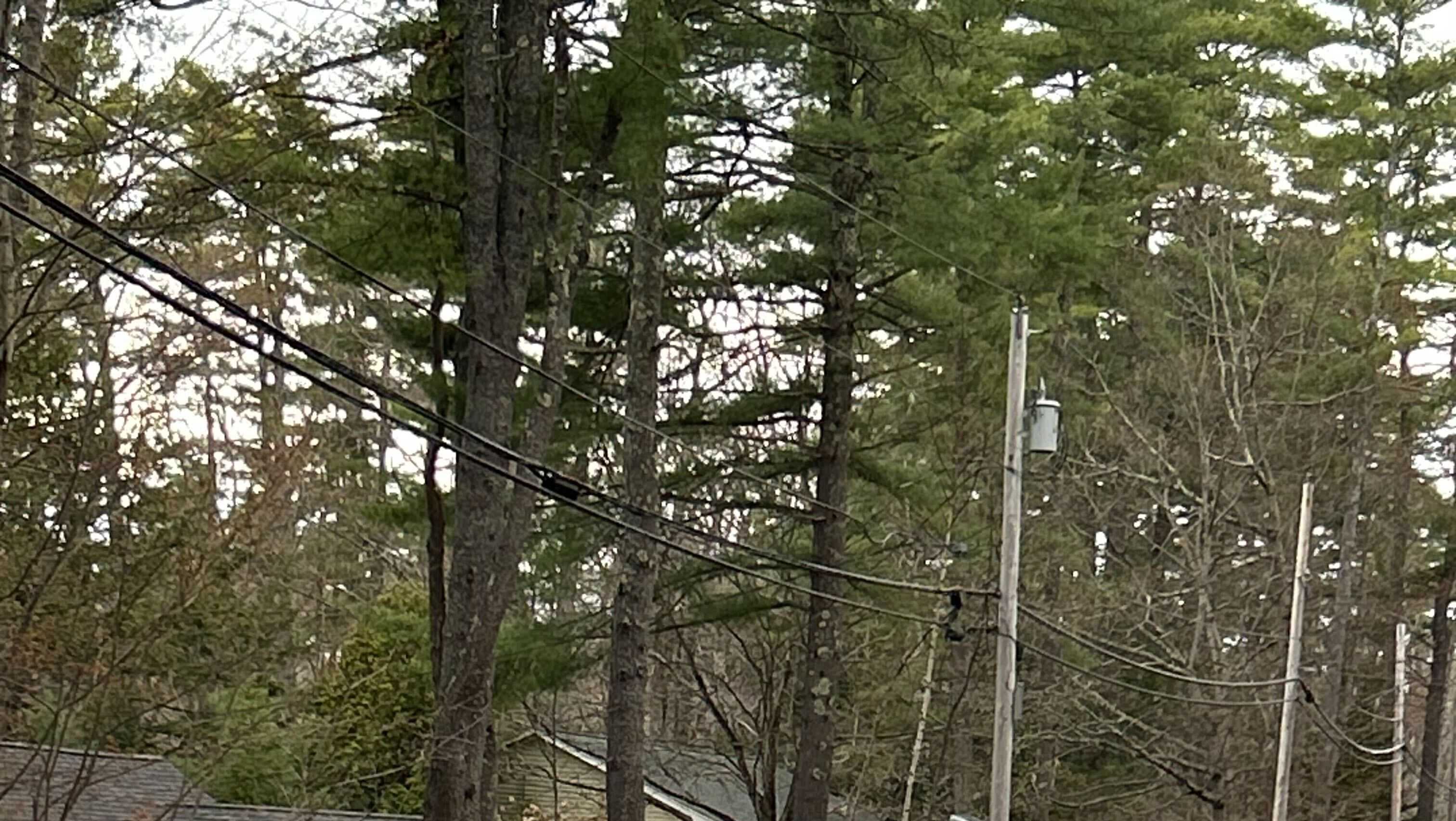 Possible murder-suicide under investigation after 2 found dead in NH town