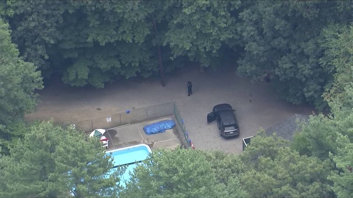 Camper dies after being hit by falling tree at Mass. summer camp