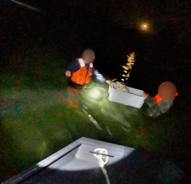 NH brothers, dog rescued from sinking sailboat in Essex River