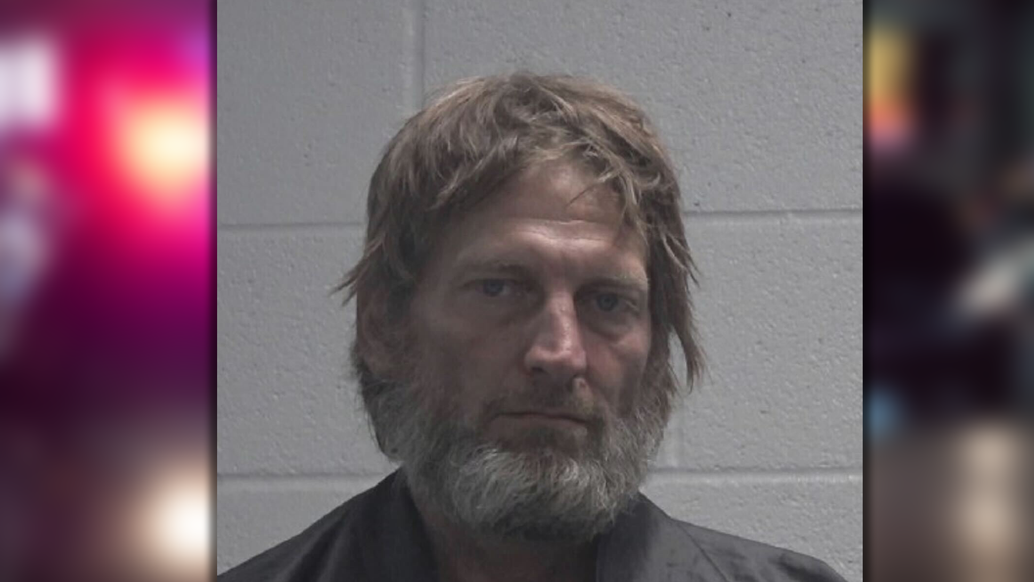 wyff4.com - Chloe McCoy - Deputies seize more than 800 grams of narcotics in drug bust