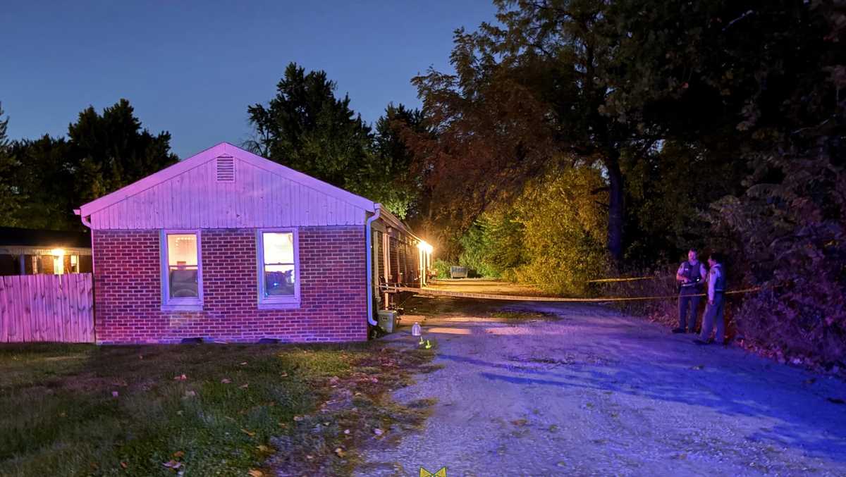 Assault News Image
