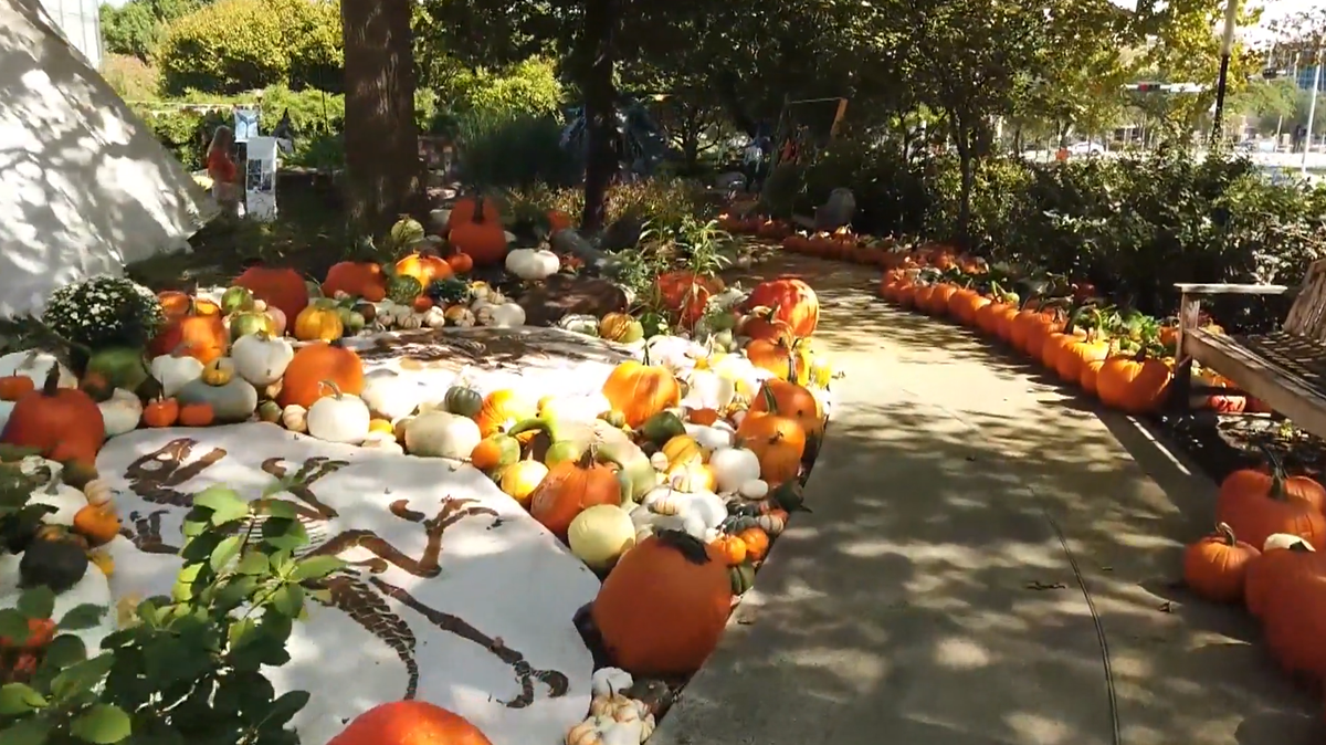 Buy your favorite Pumpkinville decorations during Orange Monday Fall Sale