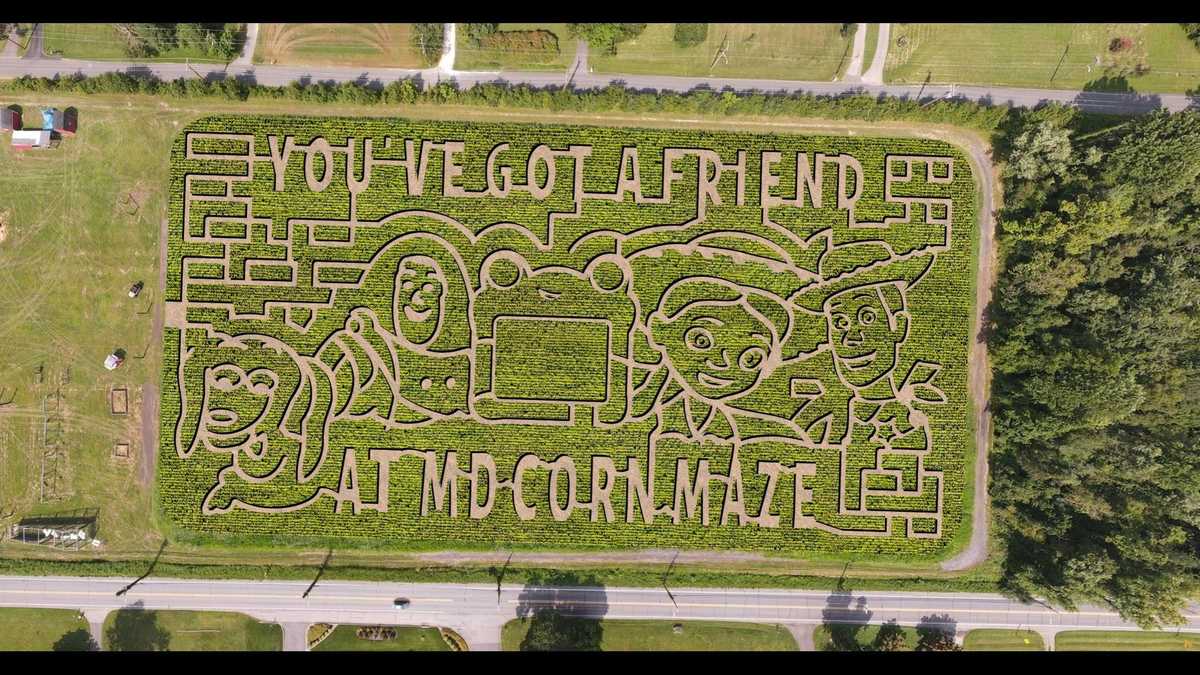 Maryland Corn Maze Closes After Toy Story Theme Season