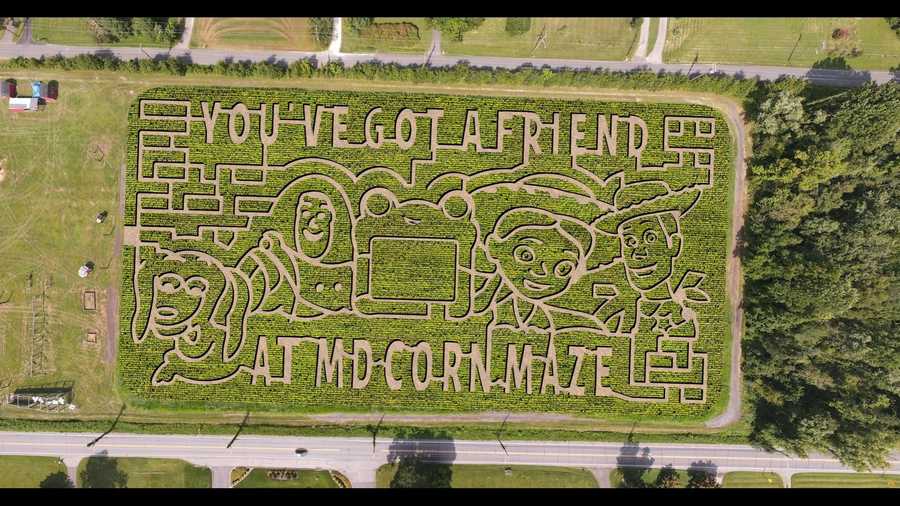Gambrills Maryland Corn Maze wraps up 'Toy Story' theme - WBAL
