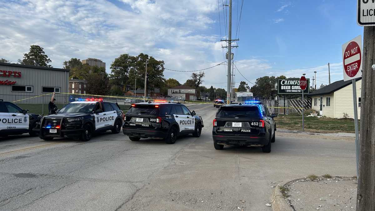 Assault News Image