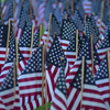 Volunteers plant nearly 3,000 flags in Boston Public Garden to honor 9/11 victims