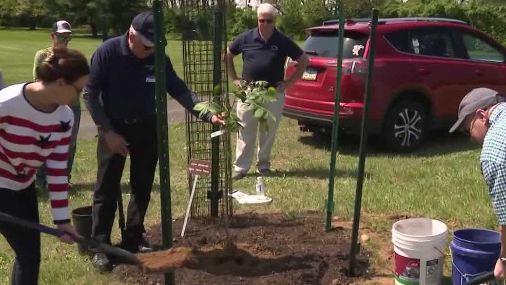 York County Master Gardeners plant historic Jimmy Carter pecan tree