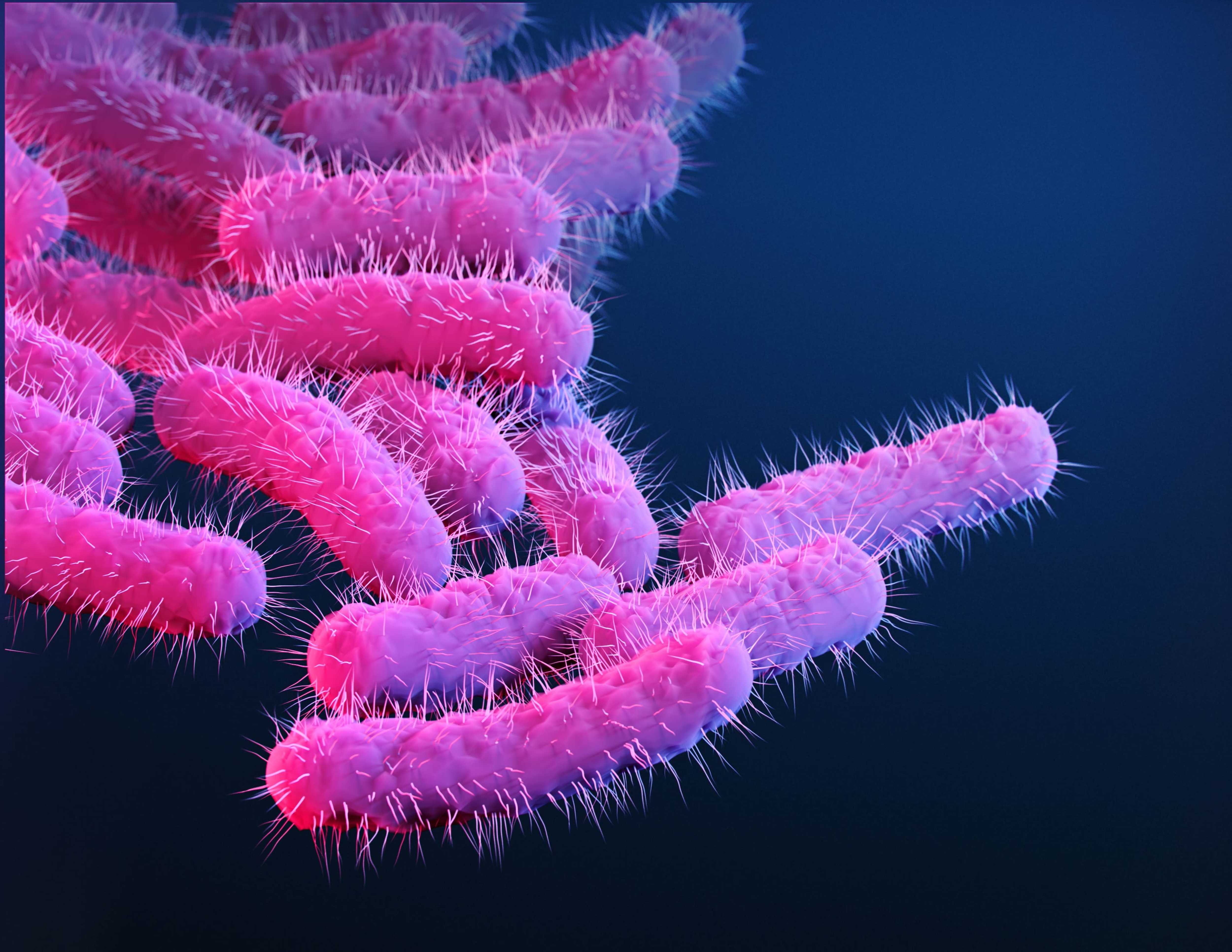 Sexually transmitted diarrhea? What to know about the infection - WCVB
