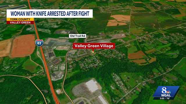 Woman accused of carrying a knife after police break up large fight at Newberry Township park