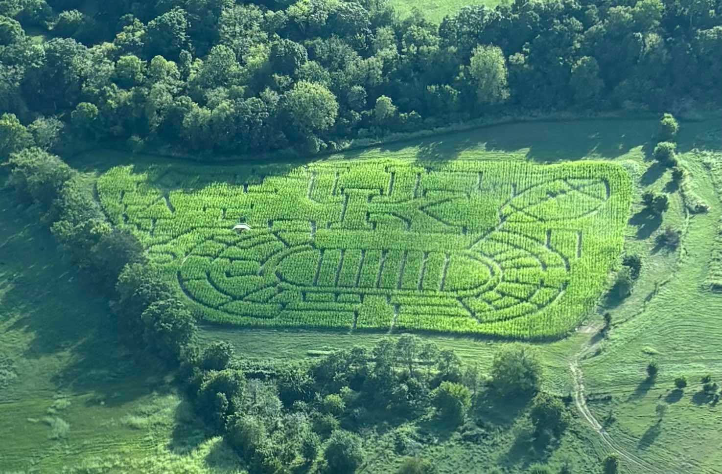 This corn maze in Kentucky will score big with UK fans - WLKY
