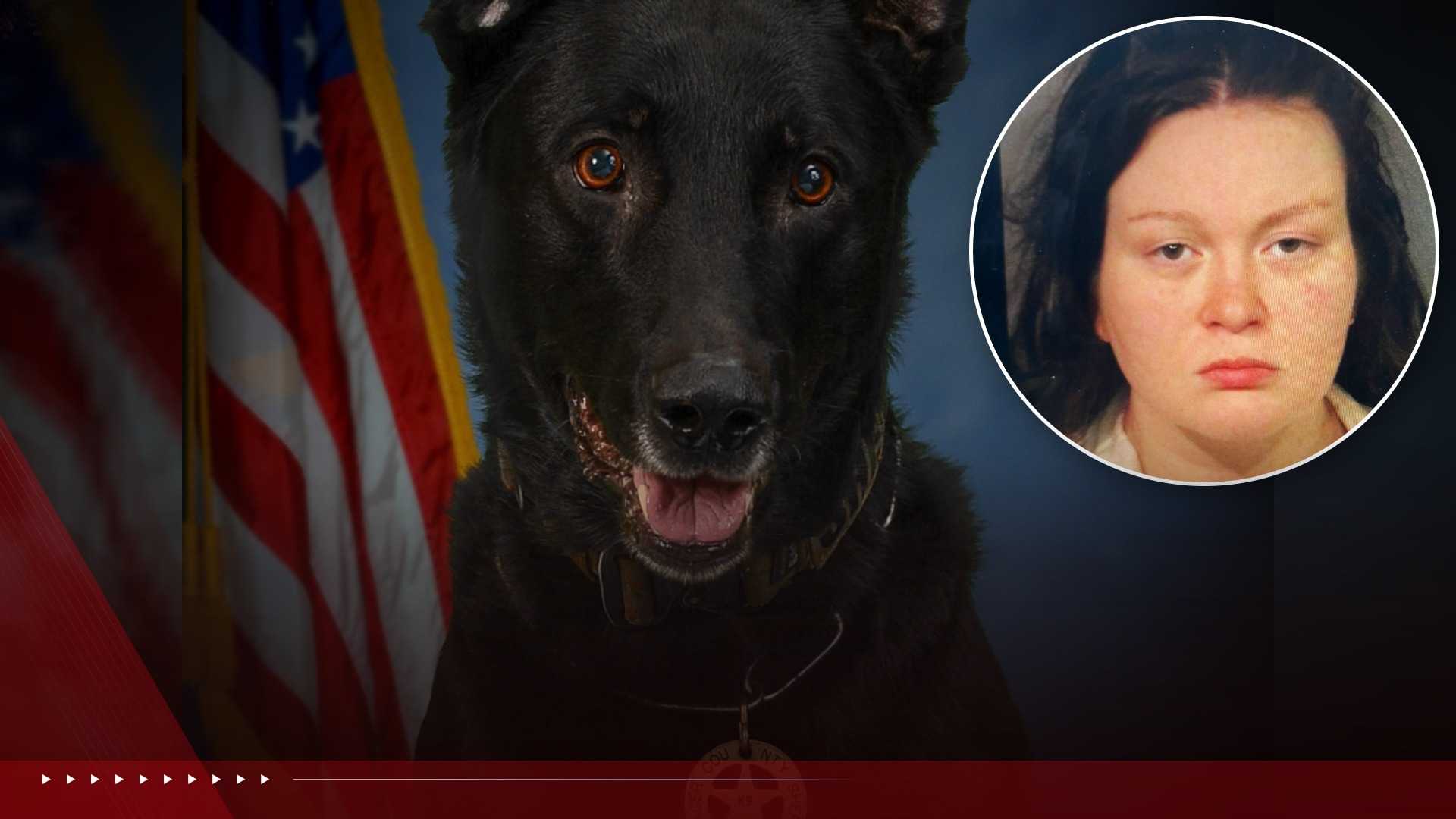 Placer deputies shoot woman accused of shooting a K-9, destroying drones in hourslong standoff