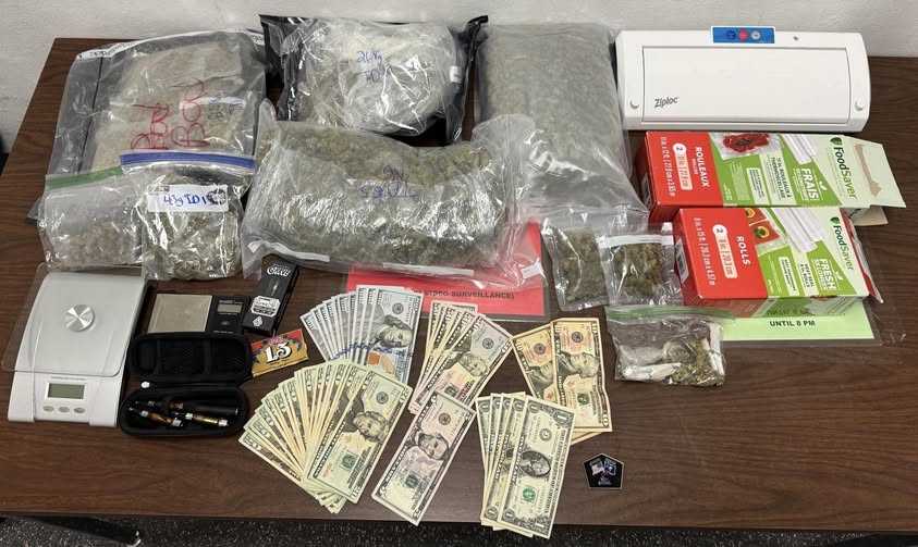 wyff4.com - Chloe McCoy - Upstate drug bust turns up marijuana, cash, deputies say