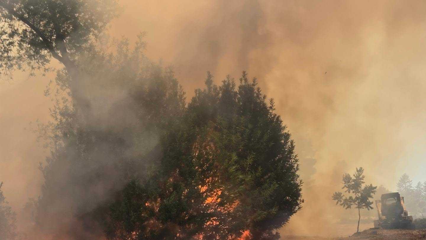 Dudley Fire: Forward progress stopped, evacuation warnings lifted for fire in Paradise