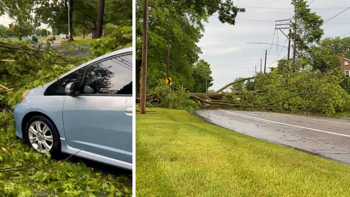 Tree falls on groom’s car after wedding in Lancaster County
