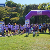 Walk to end Alzheimer's returns to Mount Airy