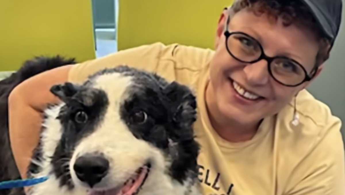 Local shelter helps reunite dog with owner after being found 1,000 miles away