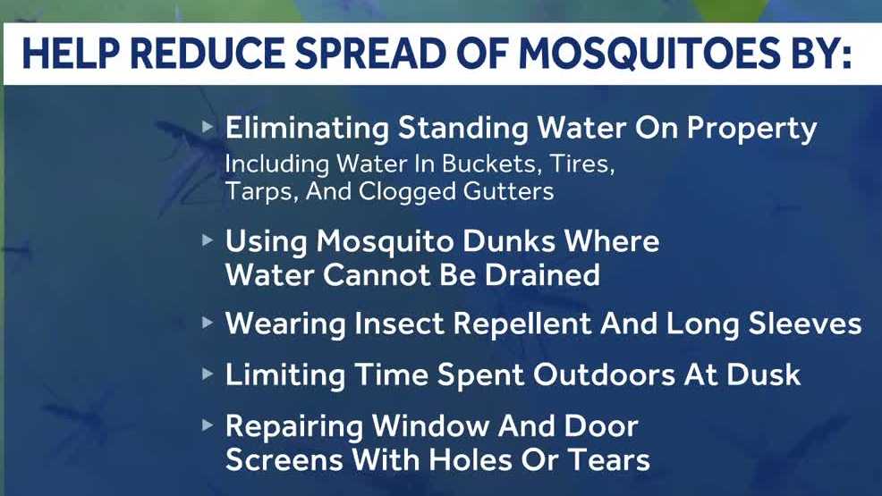 Cumberland County to spray for mosquitoes after West Nile virus found in multiple areas