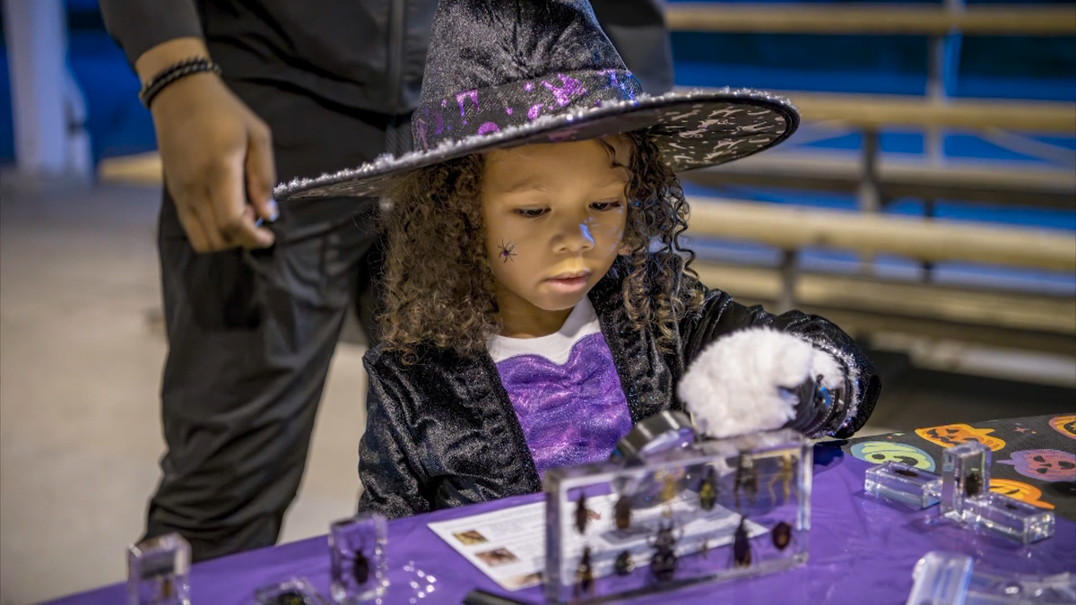 What to do in MKE: Milwaukee With Kids weekend picks Oct. 16-18